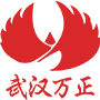 武漢市萬(wàn)正系統集成有限責任公司