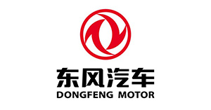 西藏東風(fēng)汽車(chē)